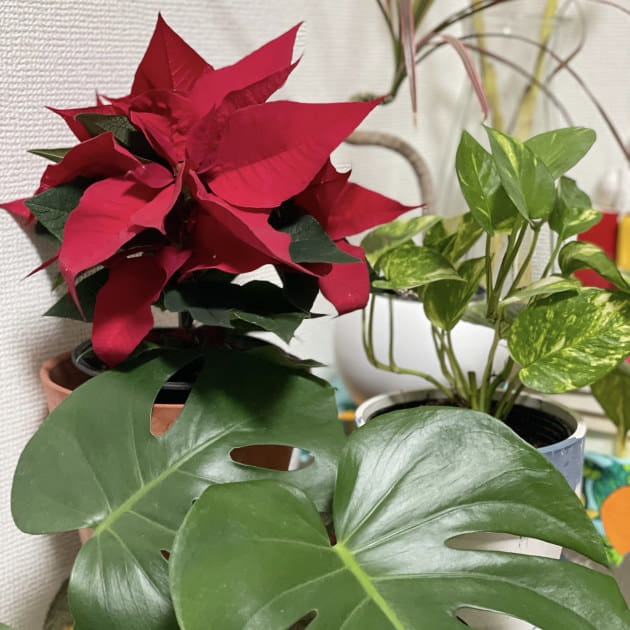 タブログ〜ベーシックこそ"今"〜