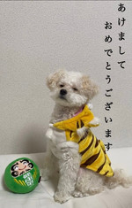 【新年早々、春物のご紹介】〜THE NORTH FACE PURPLE LABEL〜