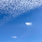 今から揃えておきたい半袖モックネック！