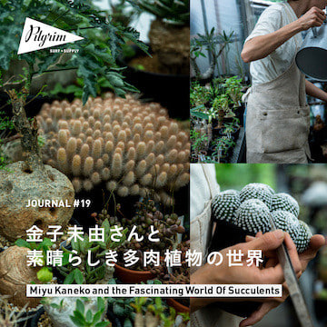 JOURNAL#19 - 金子未由さんと素晴らしき多肉植物の世界 -｜Pilgrim Surf+Supply
