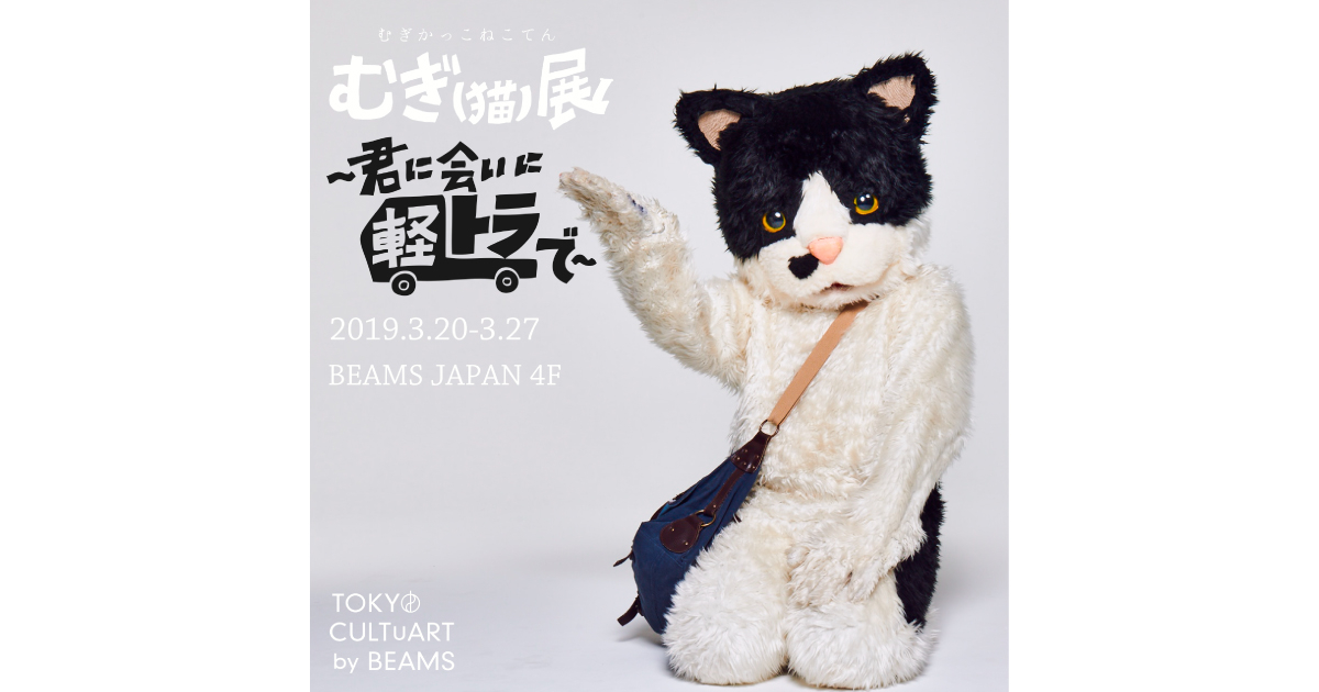 むぎねこ メジャー1stアルバム『君に会いに』発売記念！ミュージシャン“むぎ（猫