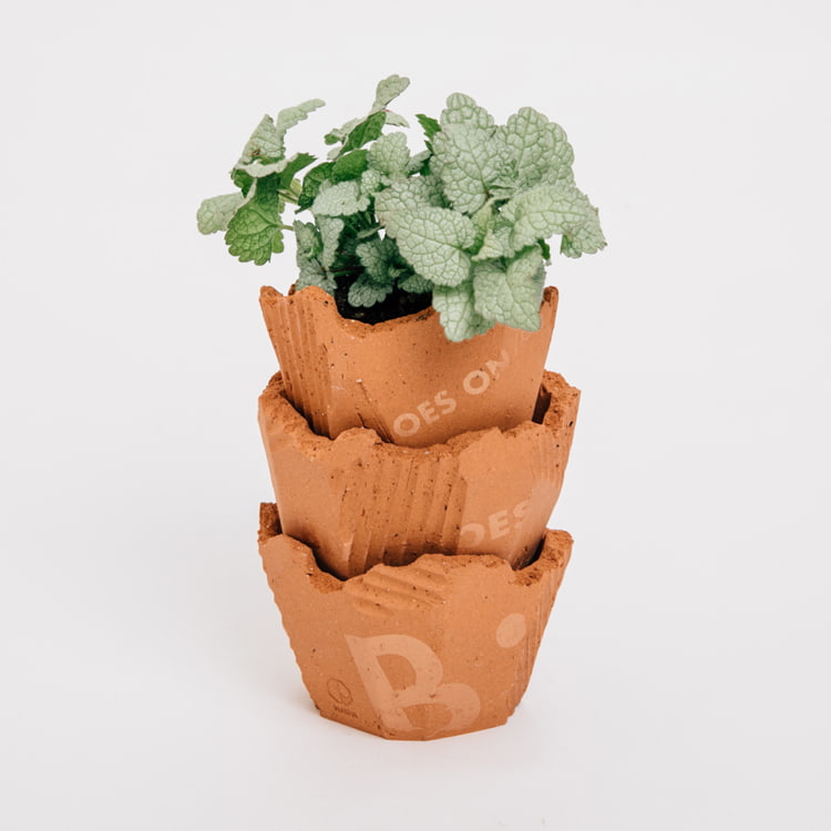 植物とうつわをテーマに、生活に取り込める作品を制作する＜N/OH