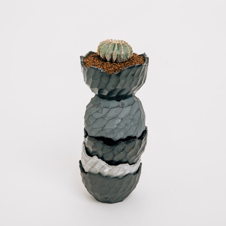 植物とうつわをテーマに、生活に取り込める作品を制作する＜N/OH