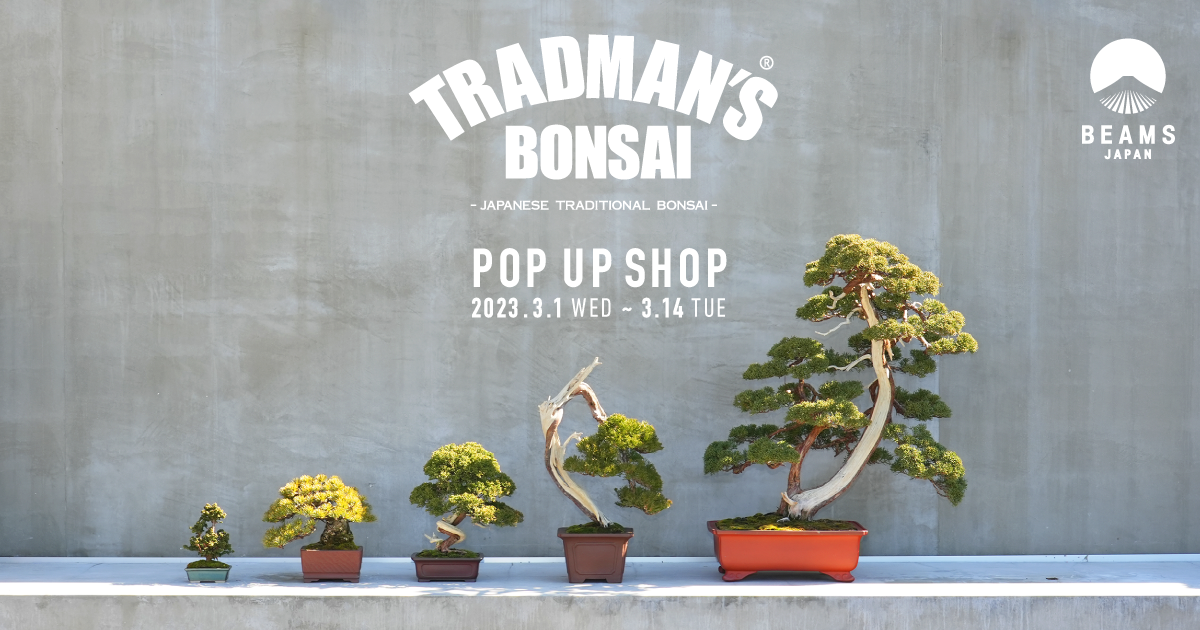 A pop-up shop with a wide selection of TRADMAN'S BONSAI bonsai and 