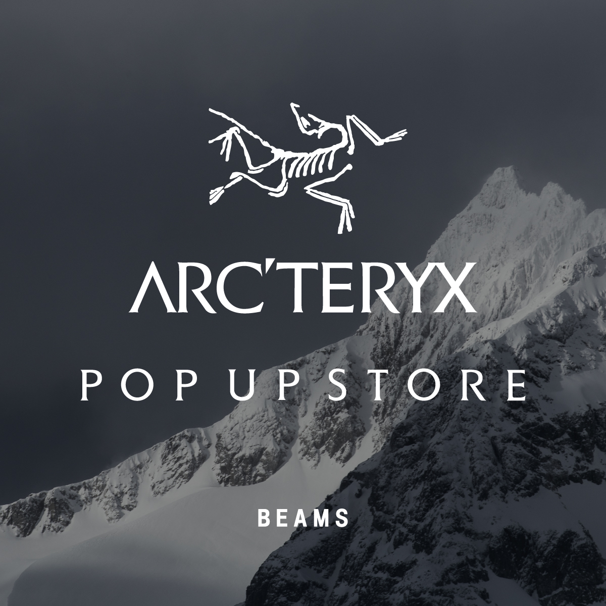 今シーズンの＜ARC'TERYX＞別注アイテムの発売に合わせた