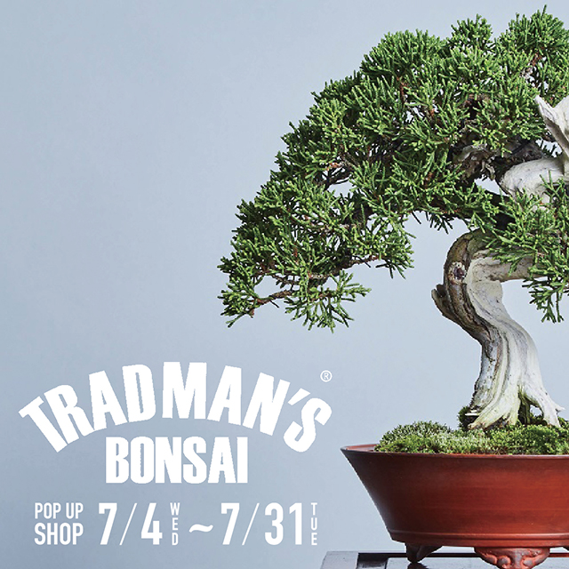 自然の力強さを表現する盆栽が豊富に揃う＜TRADMAN'S BONSAI＞の