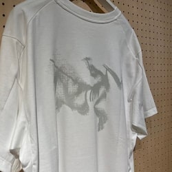 BEAMS (BEAMS) ARC'TERYX / Kragg SL Cotton Blurred Bird SS M (T