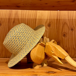 photolog_image