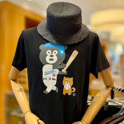 photolog_image