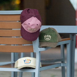 photolog_image