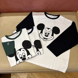 photolog_image