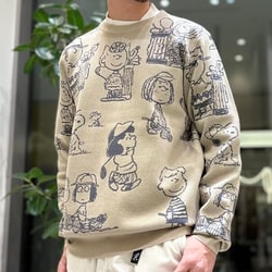 photolog_image
