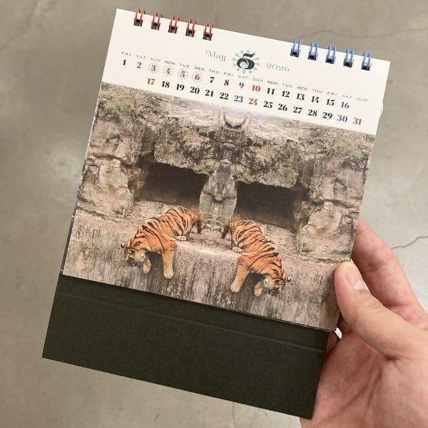 TOKYO CULTUART by BEAMS（1089760） フォトログ｜BEAMS