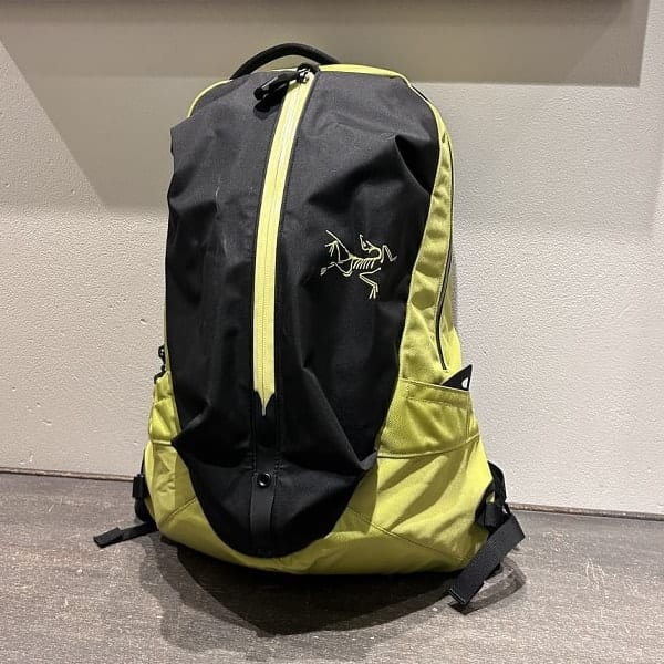 柴犬　バブアー　ビームス ビームス 柏（1101639） フォトログ｜BEAMS