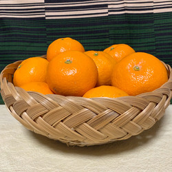 photolog_image