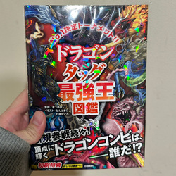 photolog_image