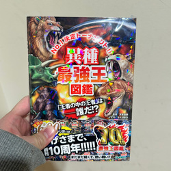photolog_image