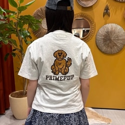 photolog_image