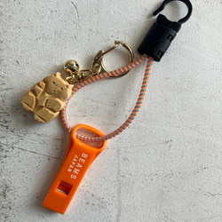 photolog_image