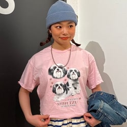 photolog_image