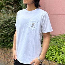 photolog_image