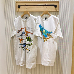 photolog_image