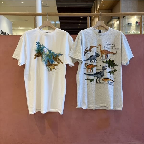 ビームス 宮崎（1148698） フォトログ｜BEAMS