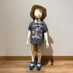 photolog_image