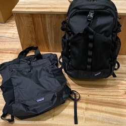 BEAMS（ビームス）patagonia / テラヴィア・トート・パック 24L
