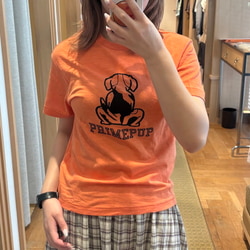photolog_image
