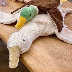photolog_image