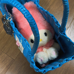 photolog_image