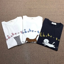 photolog_image