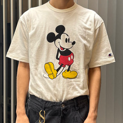 photolog_image