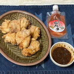 photolog_image