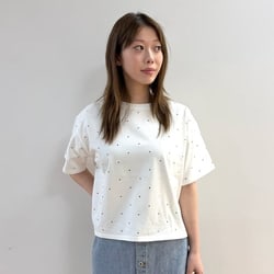 photolog_image