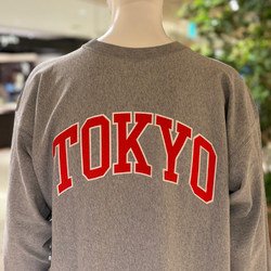 photolog_image