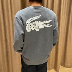 photolog_image