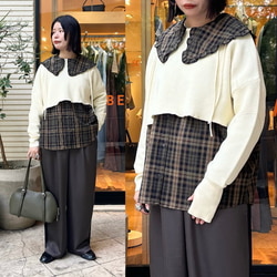 photolog_image