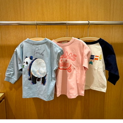 photolog_image