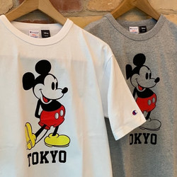 photolog_image