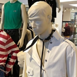 photolog_image