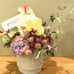 photolog_image
