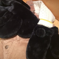 photolog_image