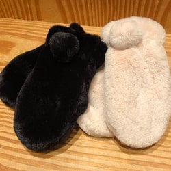 photolog_image