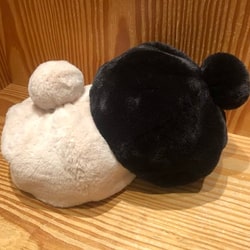 photolog_image