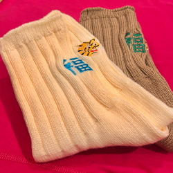 photolog_image
