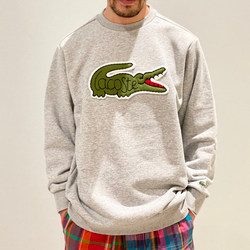 photolog_image