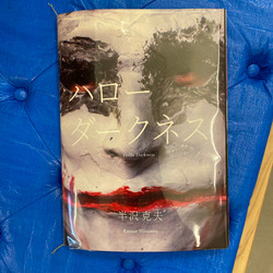 photolog_image