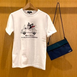 photolog_image